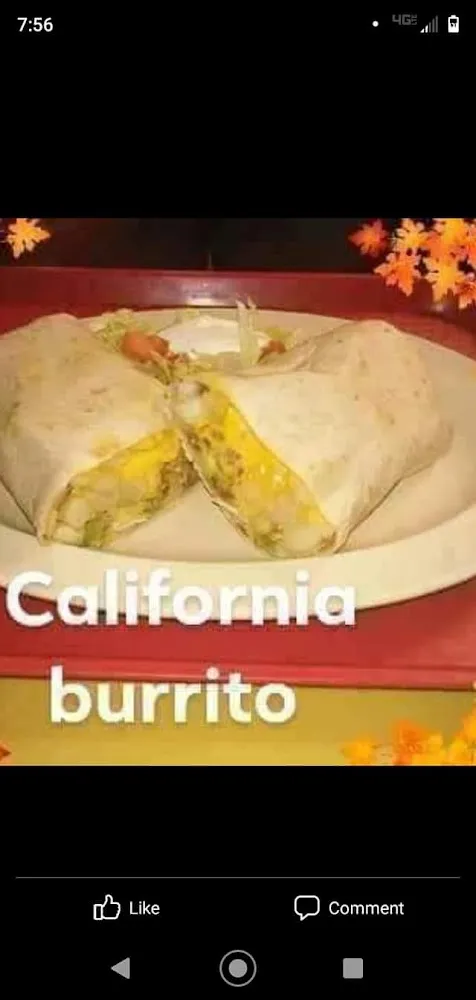 Burrito